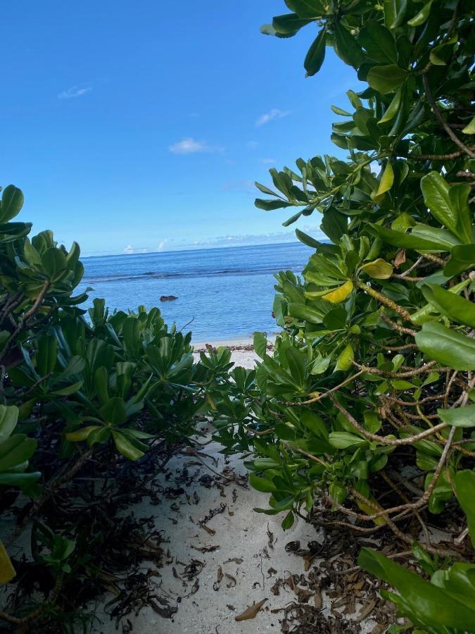 Green Villa Moorea Temae Exteriör bild